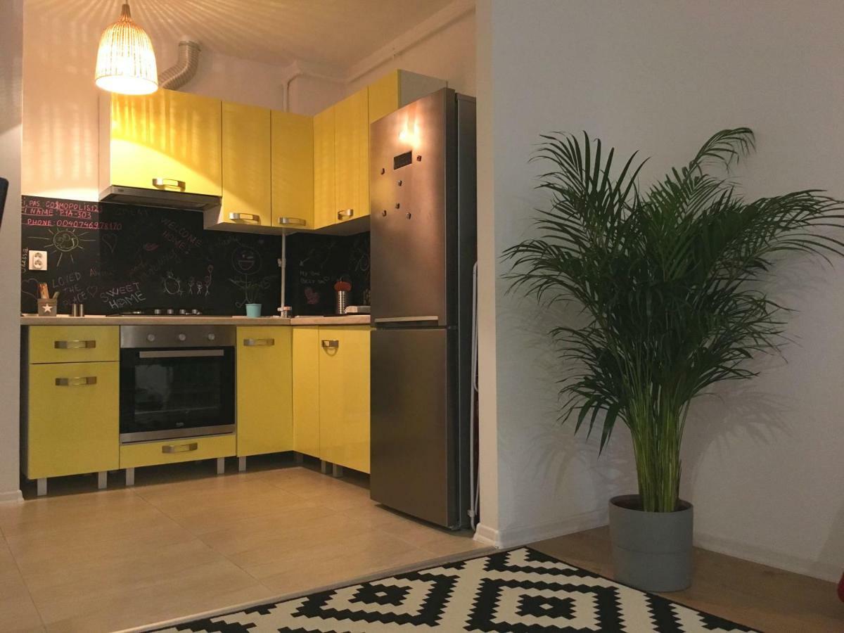 Luxury Apartment With Pool In North Bucharest Cretuleasca Luaran gambar